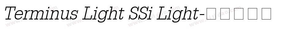 Terminus Light SSi Light字体转换